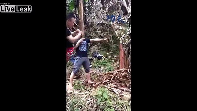 Détruire un arbre à coups de jambe ? Facile pour ce maître d'arts martiaux !