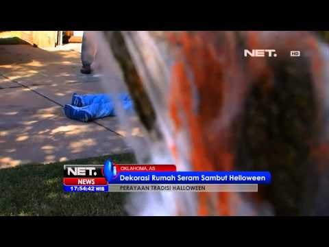 NET17 - Makan Siang Halloween Bagi Satwa di Florida