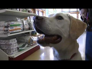 NET12 - Ribuan Produk Ditarik Dari Pasaran di Amerika