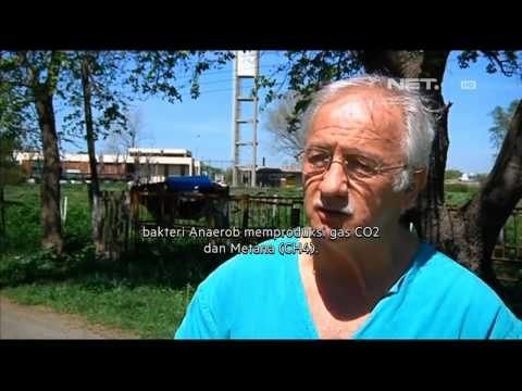 NET17 Ekstraksi Gas Metan dari Lambung Sapi di Argentina