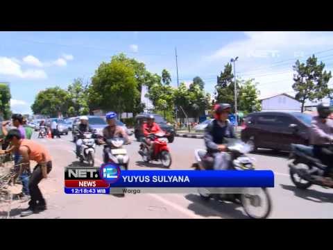 NET12 - Antisipasi pohon tumbang di Bandung, pohon kering dipotong