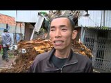 NET24 - Persyaratan pengajuan santunan korban pohon tumbang
