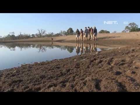 NET17 - Kursus singkat melacak jejak satwa di Botswana