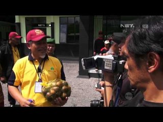 Malaysia belajar budi daya salak nglumut - NET5