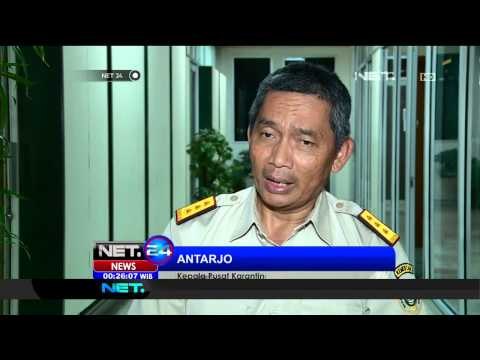 Larangan Peredaran Apel Impor Berbahaya, Sejumlah Pedagang Merugi - NET24