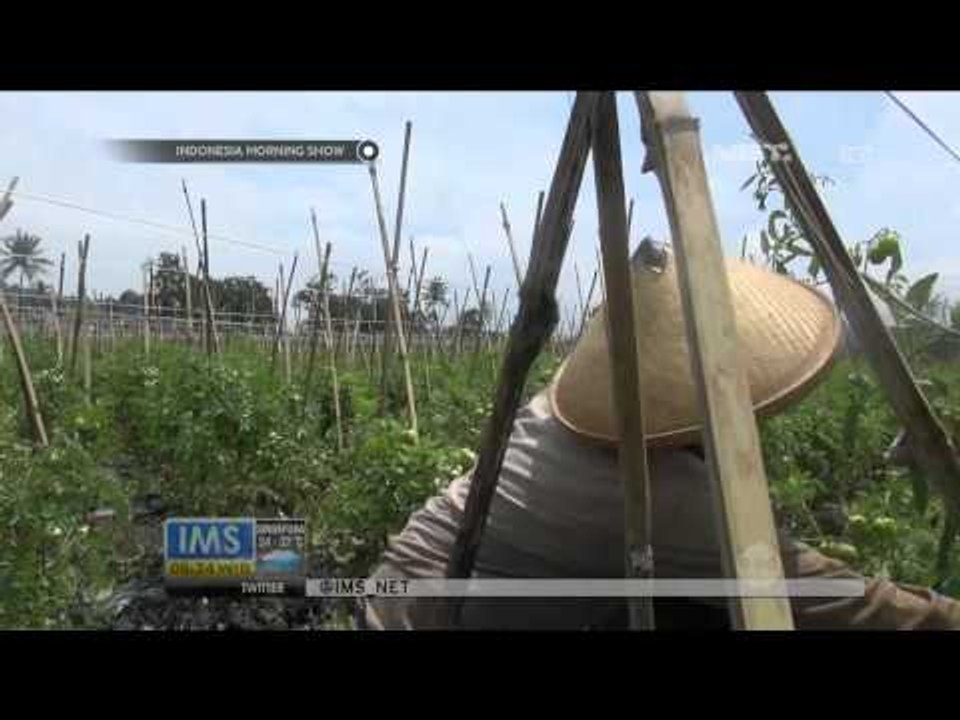 Tebing Talud Roboh, Puluhan Rumah Terancam di Jember Jawa Timur - IMS