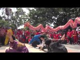 Perayaan Imlek di Malang dimeriahkan dengan Karnaval Budaya - NET12