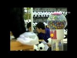 NET24 - Bayi panda raksasa Yuan Zai dijadikan model iklan di Taiwan