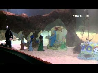 NET5 - Pernik natal di aquarium ikan hiu
