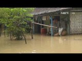 NET17 - Aktivitas warga Lamongan lumpuh akibat luapan sungai Bengawan Solo