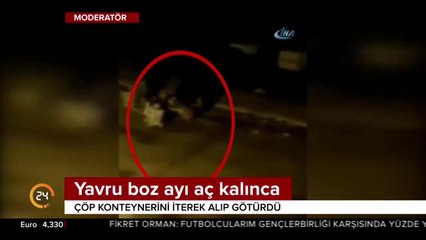 Cep telefonu kamerasında