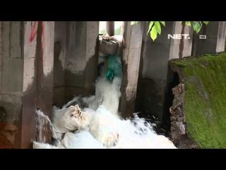 NET 12 - Tanggul Tanjung Duren Jebol