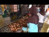 NET12 - Produksi telur ayam di Ponorogo merosot