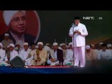 NET12 - Peringatan Maulid Nabi