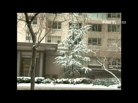 NET5 - Badai Salju Serang New York