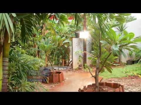 NET12 - Ambles jalan utama di Kampung Pulo Besar