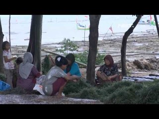 NET12 - Angin dan gelombang tinggi di Pulau Poteran