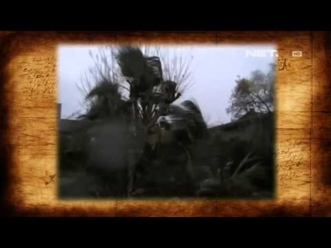 IMS - Sejarah badai Klaus menerjang Eropa