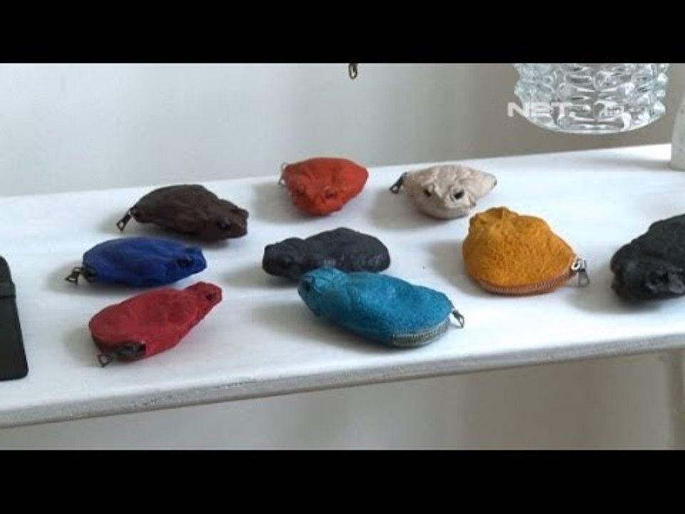 NET5 - Aksesoris Unik  Busana dari Kulit Katak