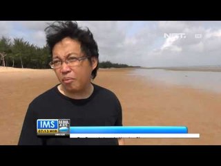 IMS Ribuan pohon cemara pantai Lombang
