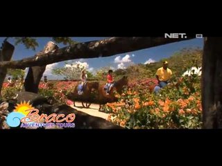 IMS - Jamaika berbalut sejuta pesona