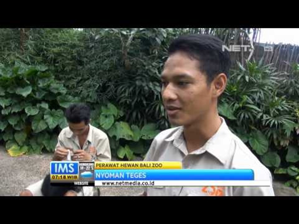 IMS Bali Zoo