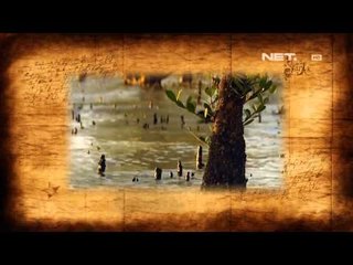 IMS Today's History Perairan rawa