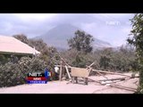 NET17 - Belasan ribu hektar lahan pertanian rusak akibat letusan Gunung Sinabung