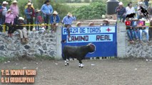 EL DEMONIO NEGRO DE LA GPNA EN LOS LEON