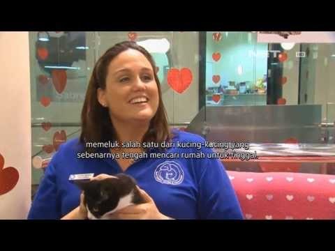 NET5 - Warga Inggris beramai ramai kunjungi penampungan satwa liar