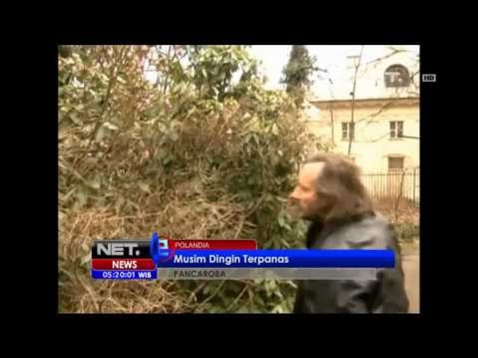 NET5 - Warm Winter Poland