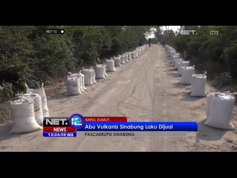 NET12 - Abu Vulkanis dari Erupsi Kelud diburu warga untuk dijadikan pupuk