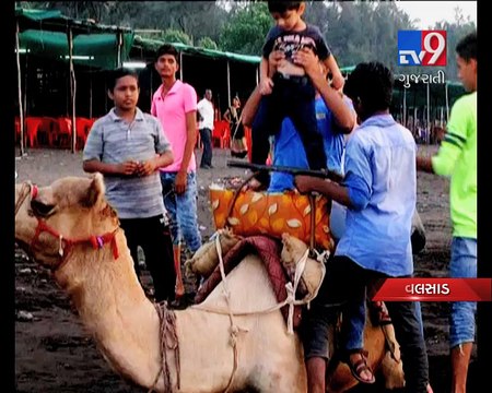 Daman and Diu become hot favourite tourist place to enjoy Diwali vacation - Tv9