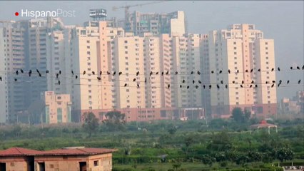 India amanece irrespirable tras celebración de la Navidad hindú