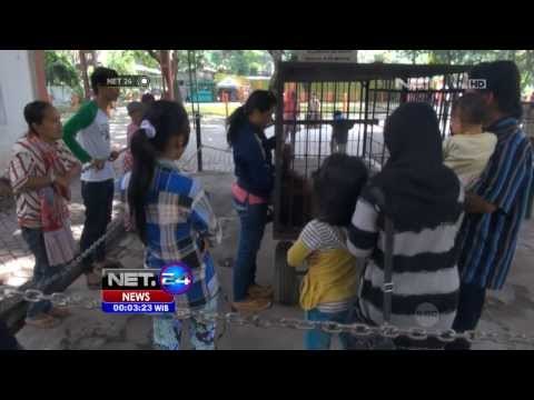 NET24 - Dampak letusan Kelud terhadap pariwisata