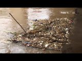 NET24 - Sampah Sisa Banjir Tersangkut di Kolong Jembatan