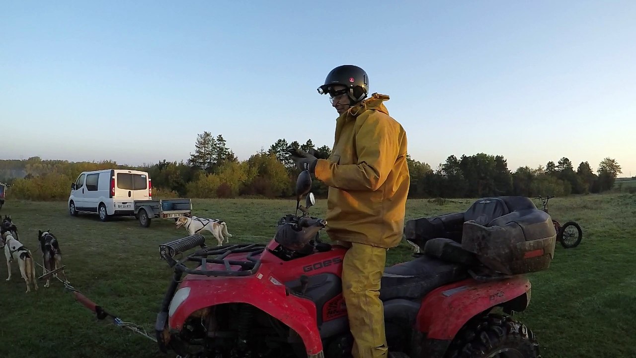 Training entrainement chiens de traineau en quad