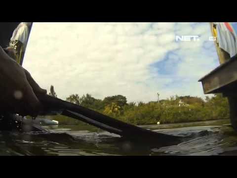 NET12 - Sensasi hotel dibawah air di Afrika