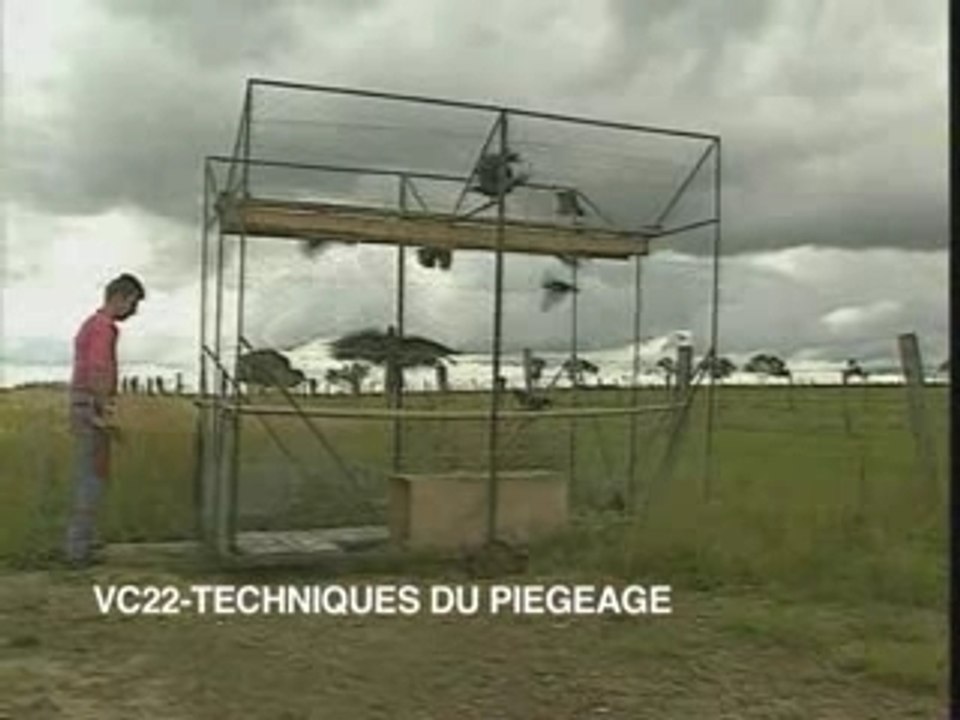 Techniques du piégeage