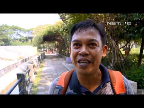 NET17 Unta Jantan Berpunuk Satu Jadi Satwa ke 11 KBS yang Mati