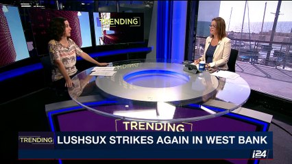 TRENDING | Lushsux strikes again in West Bank | Friday, October 20th 2017