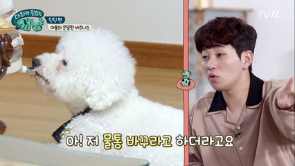 '충격' 강아지용 정수기에 숨겨진 진실 공개!!