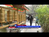 NET24 - Panda menarik perhatian keluarga Obama di Cina