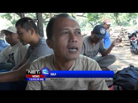 NET12-Badut dan Pendekar Wanita nyaleg