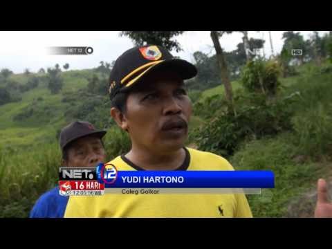NET12 -Seorang Caleg Jember Berkampanye dengan Menanam Pohon
