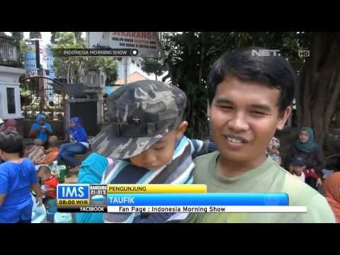 IMS-Deldom Delman Domba Khas Garut