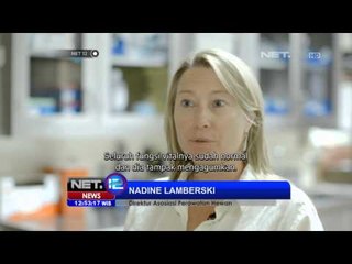 NET12-Bayi Gorila yang terkena radang paru sudah membaik