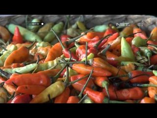 NET12-Harga Cabai di Bali Melambung