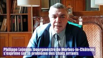 Merbes-le-Château: l'avis du bourgmestre sur les chats errants