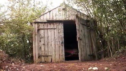 Una Jaguar E Type del 1964 in un fienile